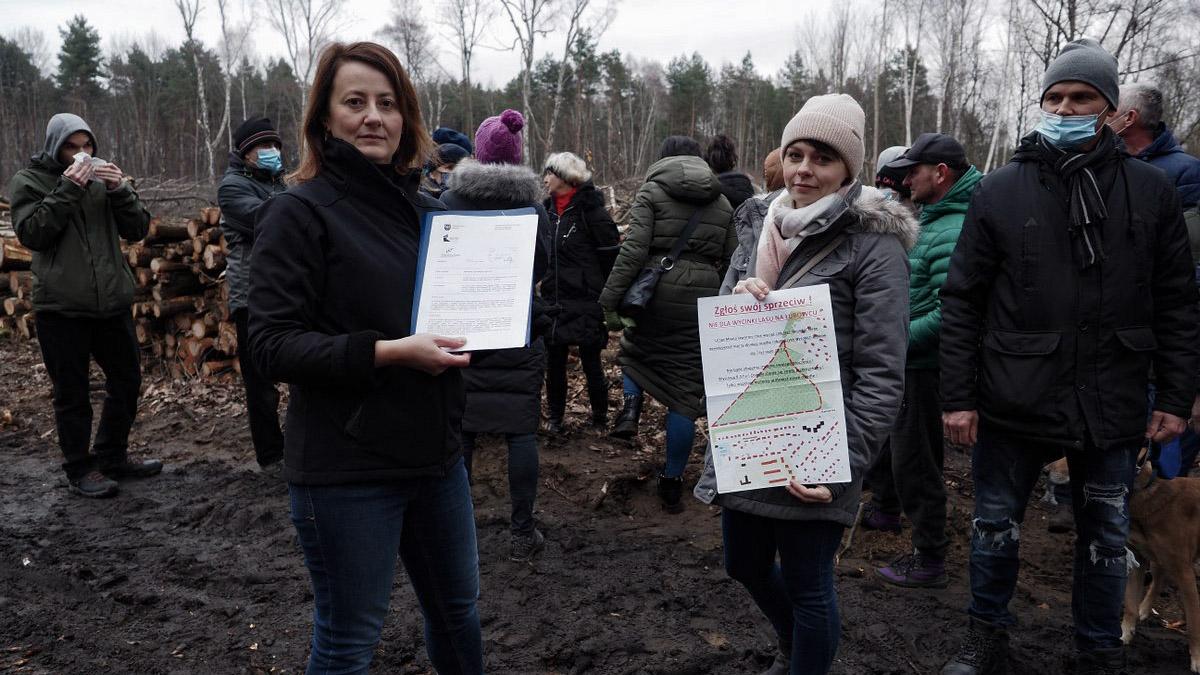 Obrońcy Lasu do prezydenta Pawła Silberta. Opamiętajmy się!