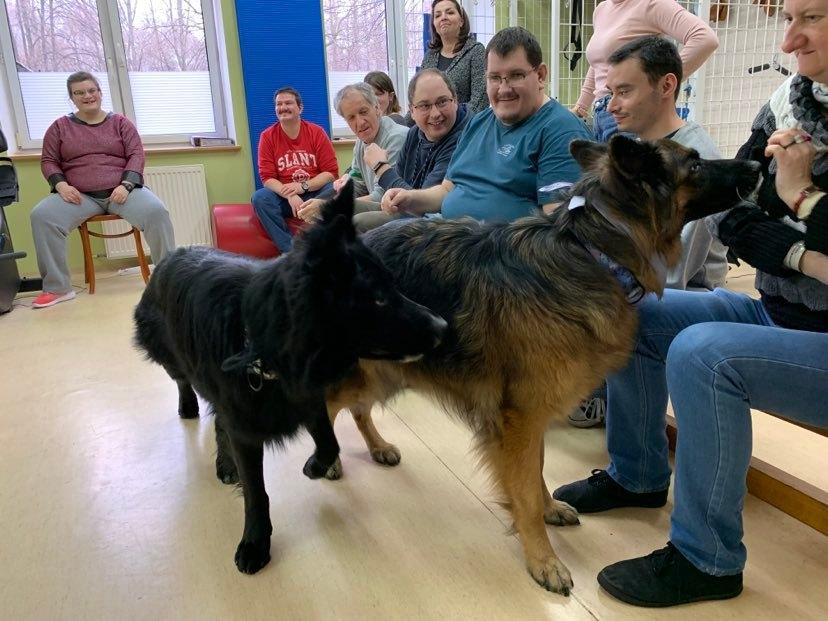 Dogoterapia - Pies to świetny terapeuta!