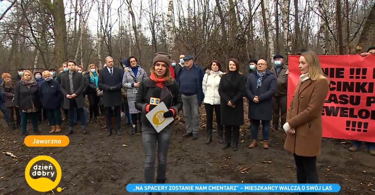 Wycinka jaworznickiego lasu w Dzień Dobry TVN