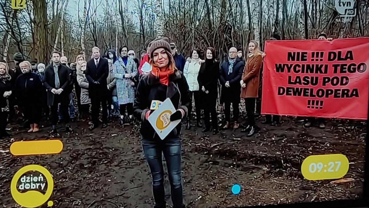 Dzień Dobry TVN z Jaworzna w sprawie wycinki lasu