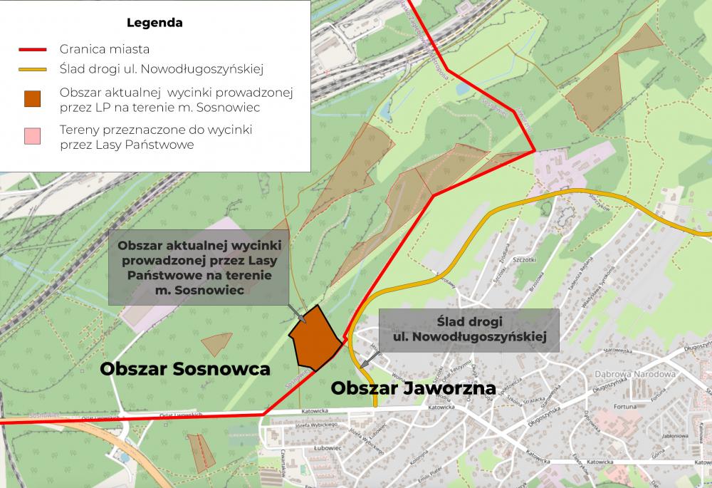 Komunikat UM Jaworzno ws. wycinki drzew w okolicach Dąbrowy Narodowej i Łubowca