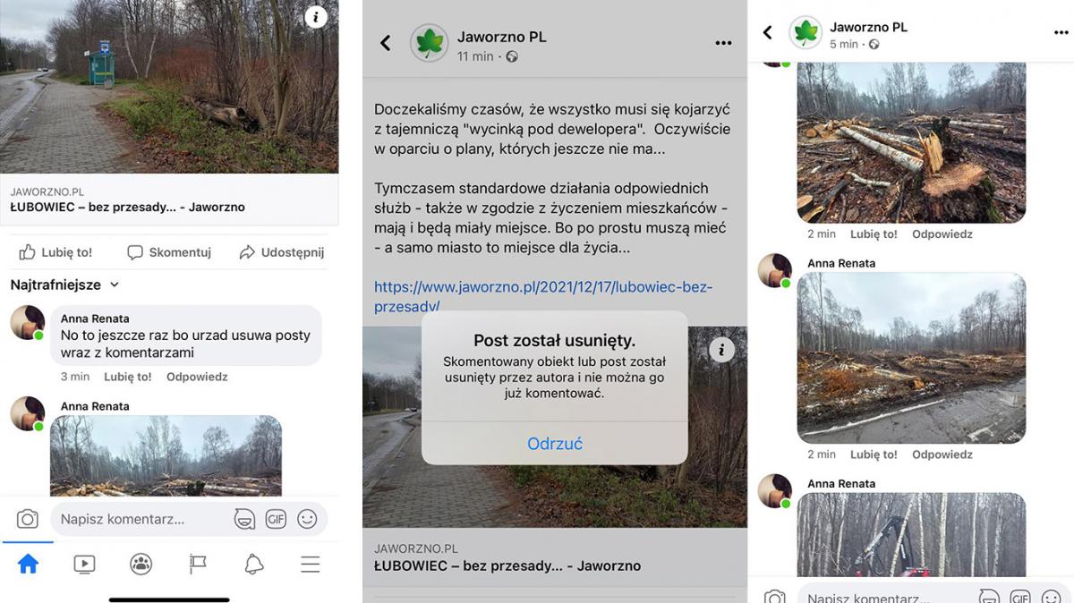 Znikają posty o wycince lasu na Łubowcu. Cenzura w samorządowych mediach.