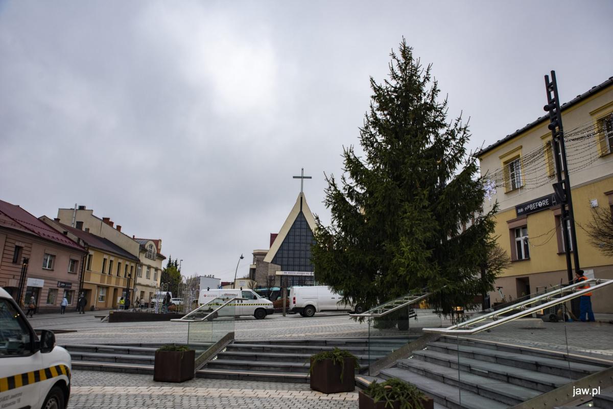 Choinka na rynku w Jaworznie już stoi