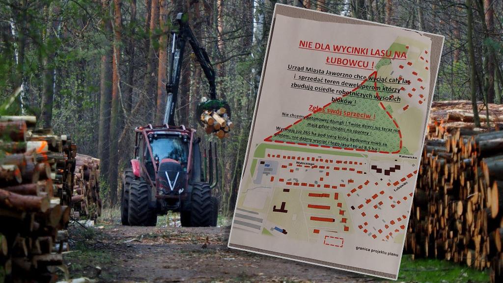 Mieszkańcy przeciwko wycince lasu