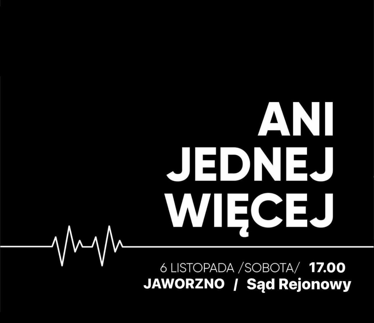 Ani jednej więcej! - manifestacja przed jaworznickim sądem
