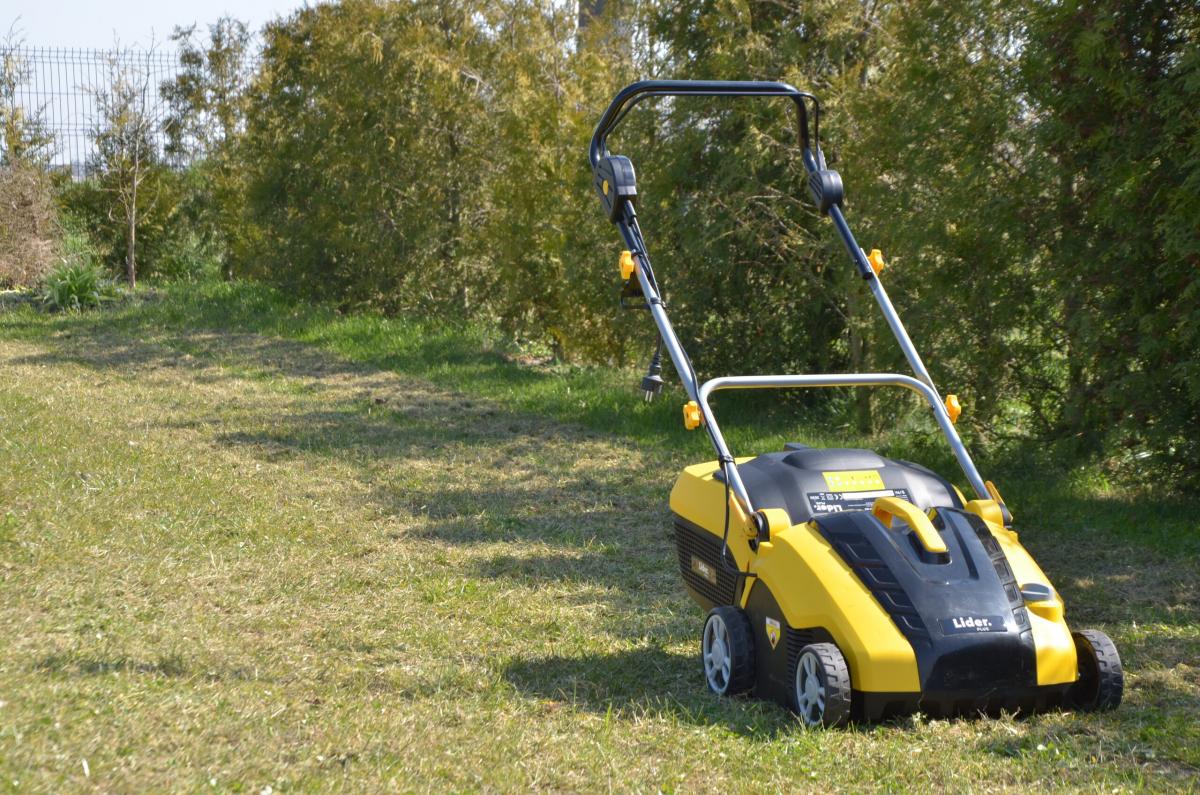 Czy Twój trawnik potrzebuje wertykulacji?