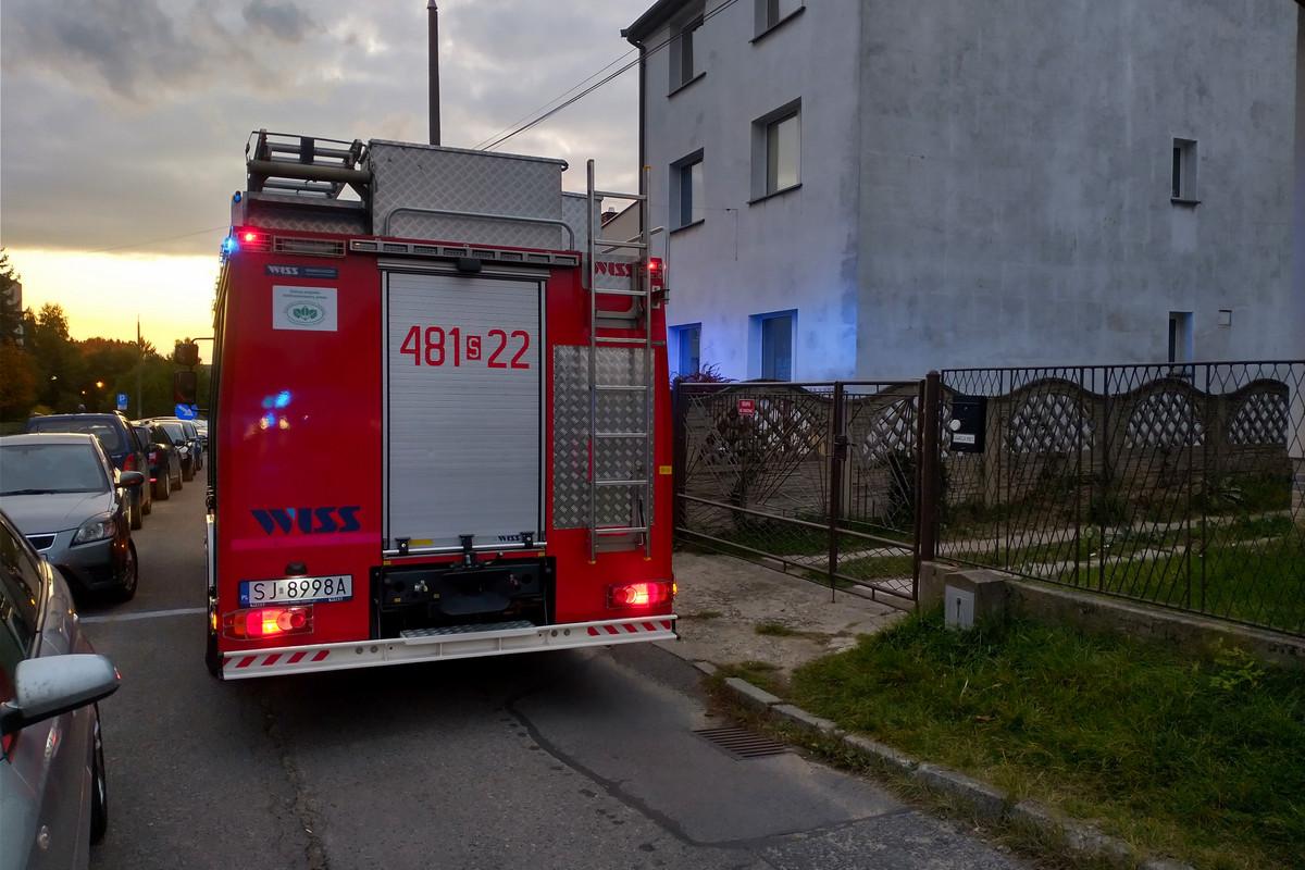 Fałszywy alarm