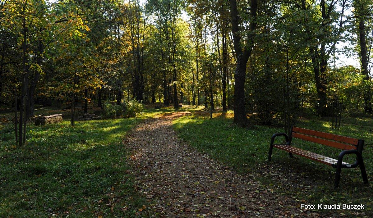 Park Chrząstówka zaprasza na jesienny spacer