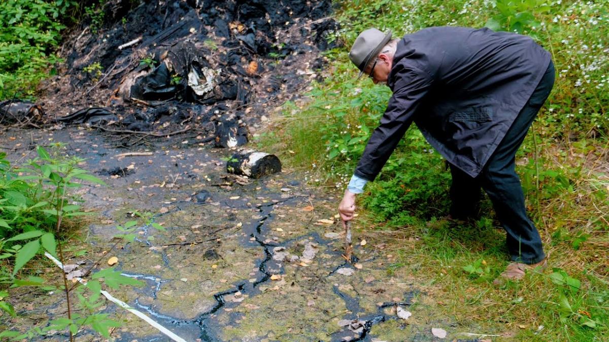 Śmiertelna pułapka dla zwierząt. Ktoś wylał w lesie lepik