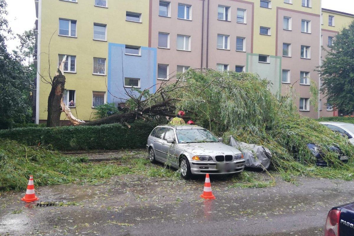 Nawałnica nad Jaworznem - trwa usuwanie szkód