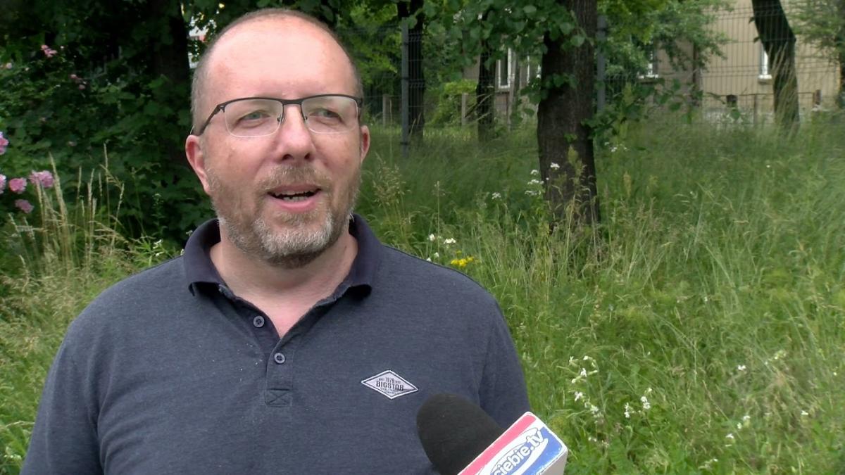 Dlaczego nie wszystkie trawniki są koszone