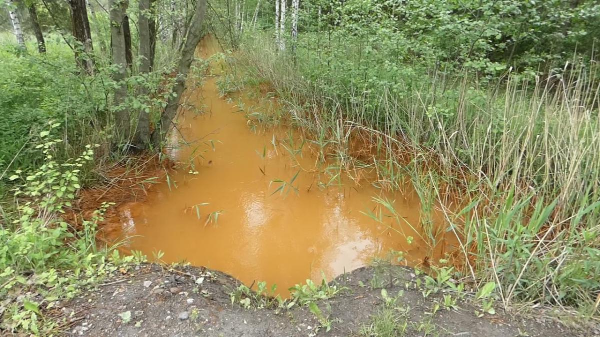 Żeleźnicą pod prąd