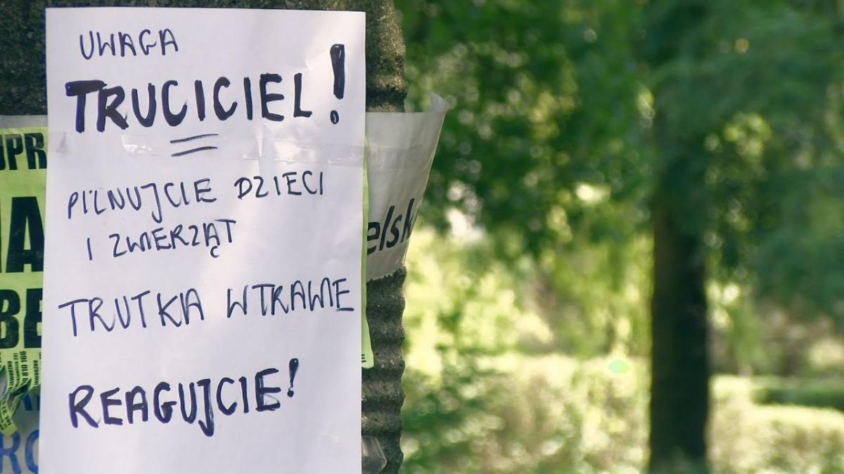 Truciciel psów znowu atakuje! Poszkodowany pies na Zaciszu!