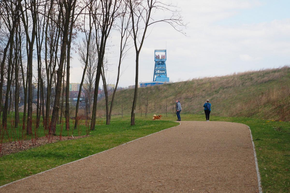 Park Angielski wczesną wiosną