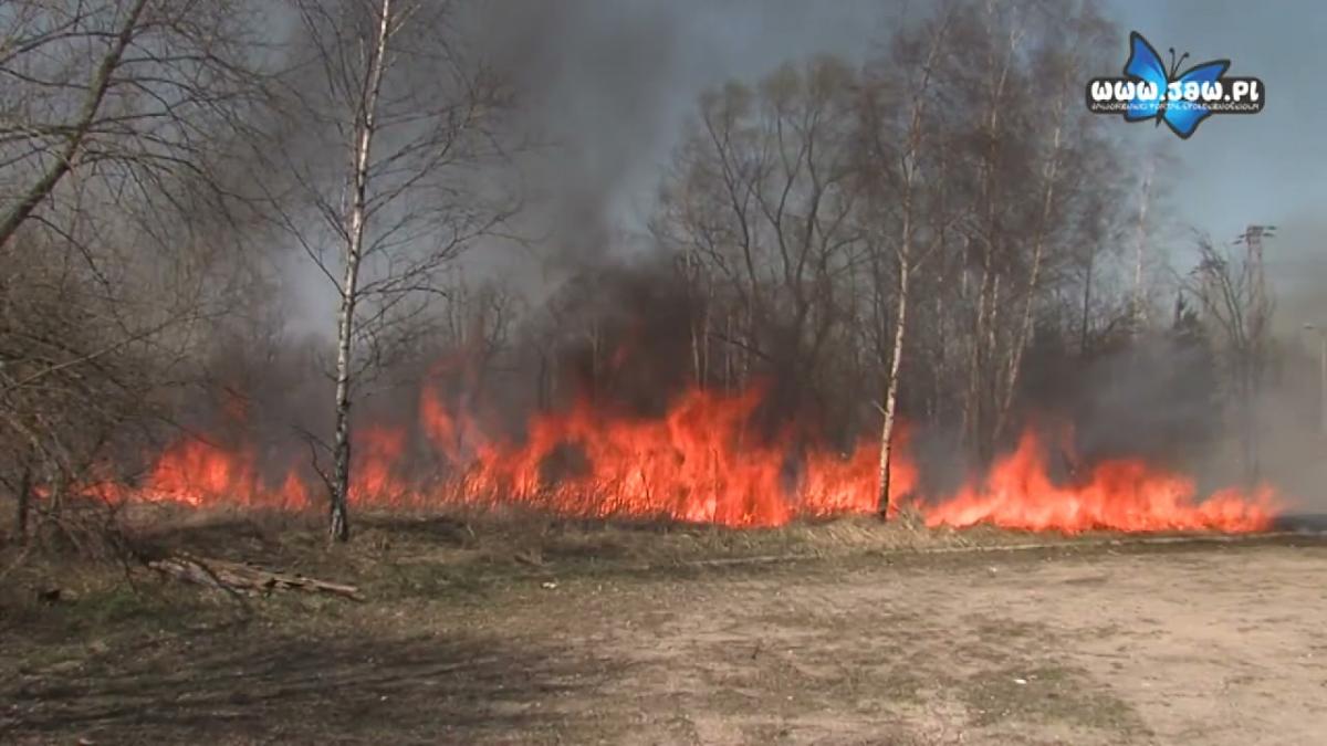 „STOP pożarom traw” – ruszyła kolejna edycja kampanii