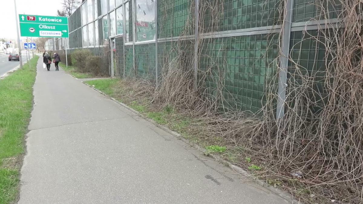 Szczury na Komunie