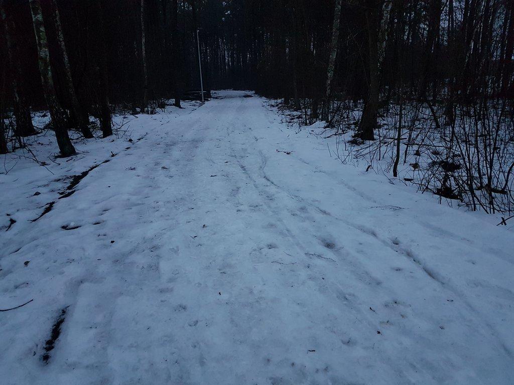 Z perspektywy: Urzędnicy w  oderwaniu od realiów