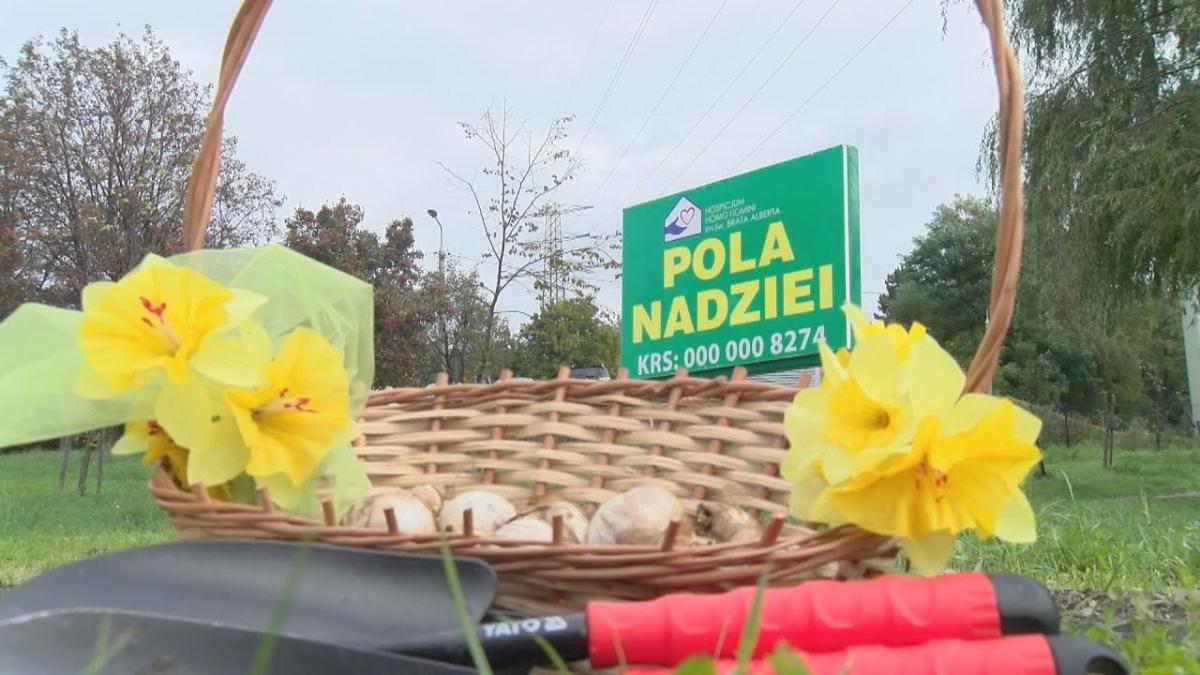 XXIV edycja akcji Pola Nadziei