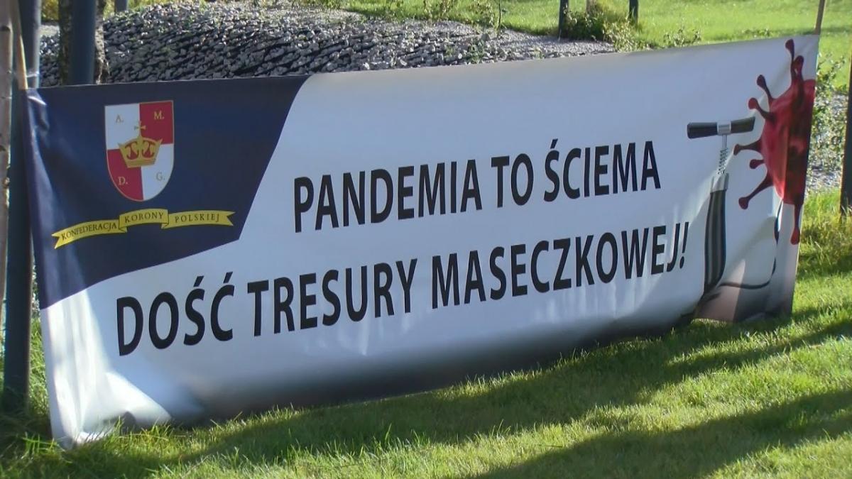 Pandemia to ściema czyli kij w mrowisko