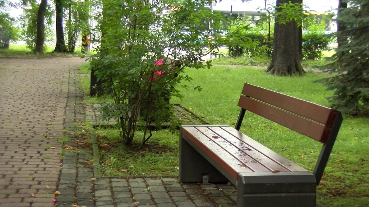 Park miejski w Jaworznie- czy aby na pewno to miejsce rekreacji i wypoczynku?