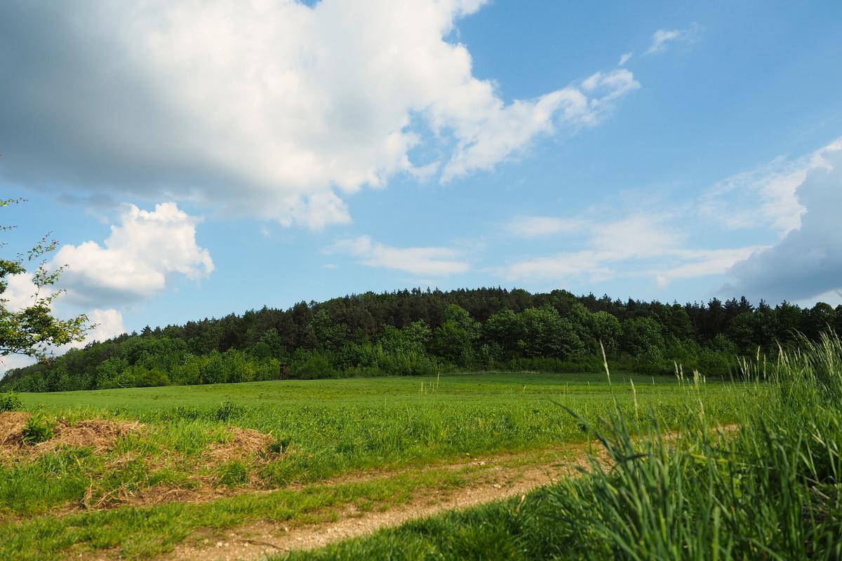 Jaworzno mało znane - Grodzisko