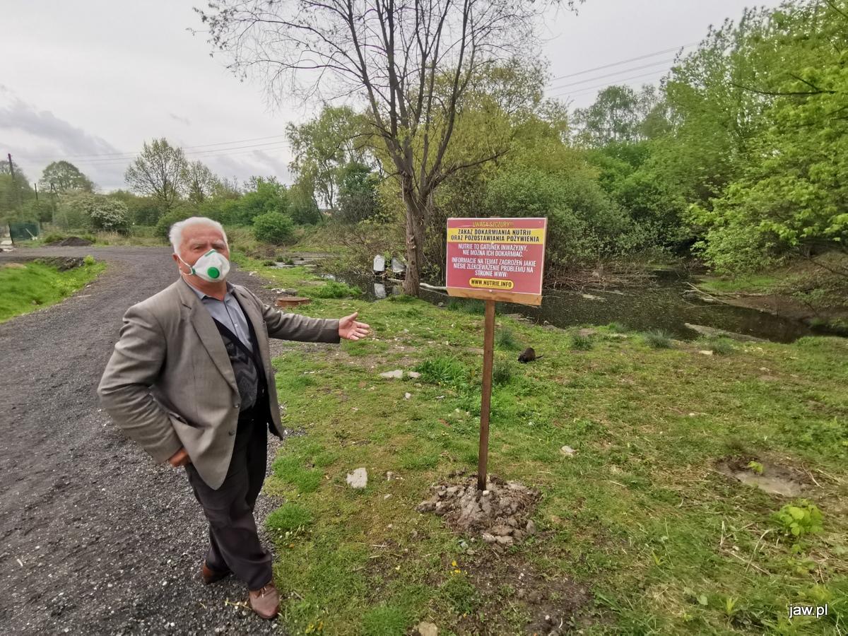 Ktoś zabił nutrie w Byczynie. Ciała martwych zwierząt pływają w zbiorniku