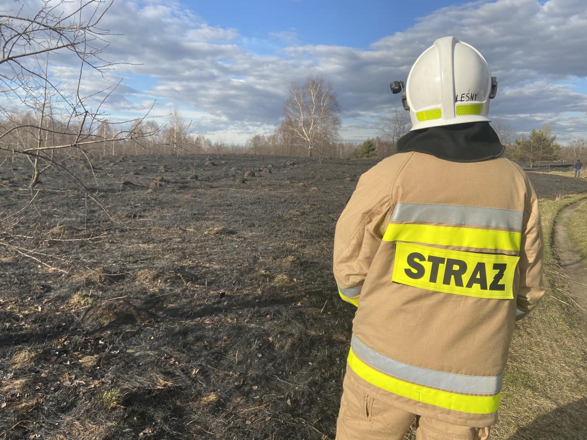 Pożar łąk w Dąbrowie Narodowej