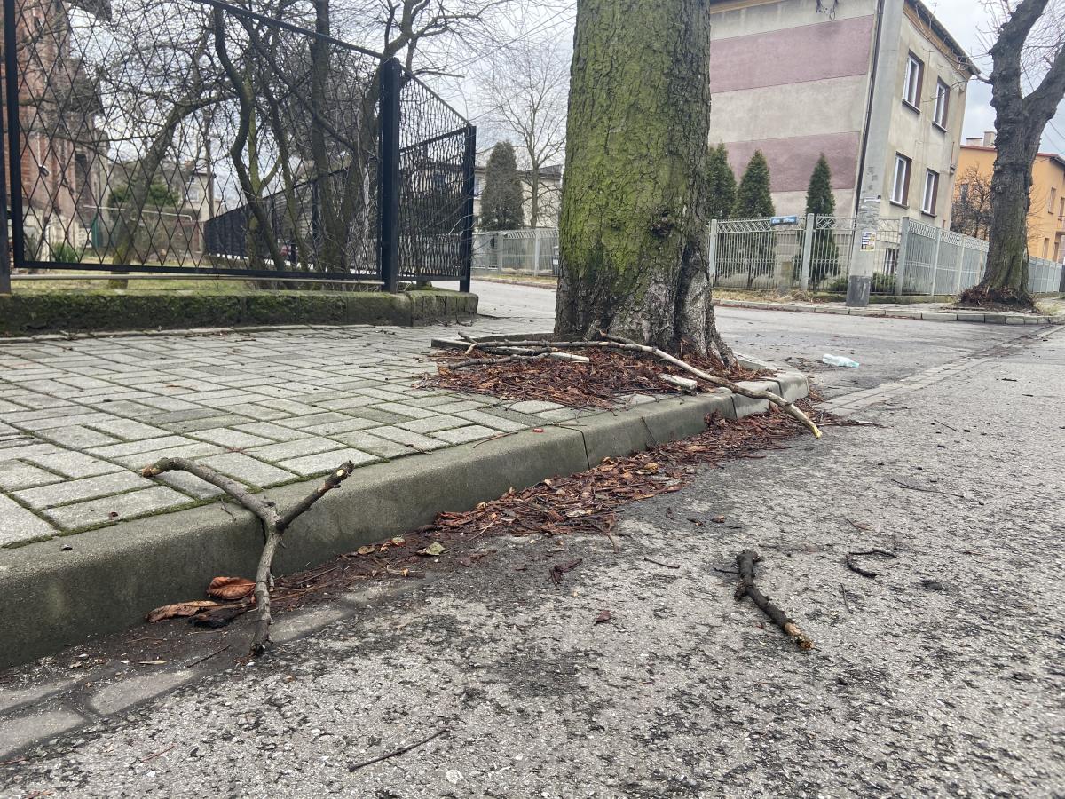 Jaworzno po wichurze