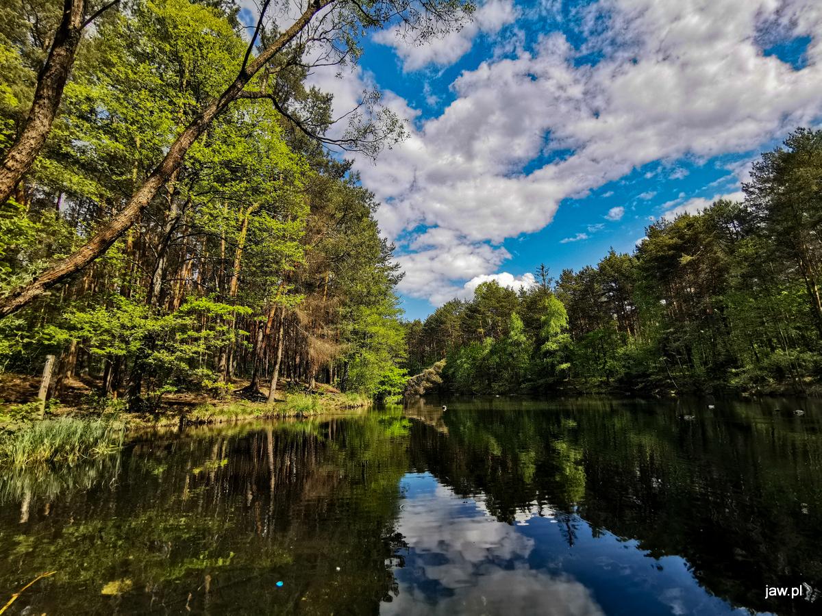 Stowarzyszenie Zielone Jaworzno otrzymało list od Ministerstwa Klimatu i Środowiska