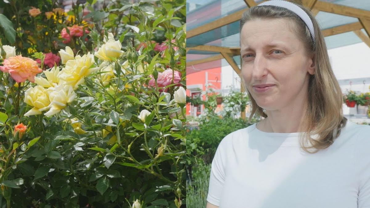 Rozpoczął się sezon ogrodniczy. Co sadzimy w ogródkach?
