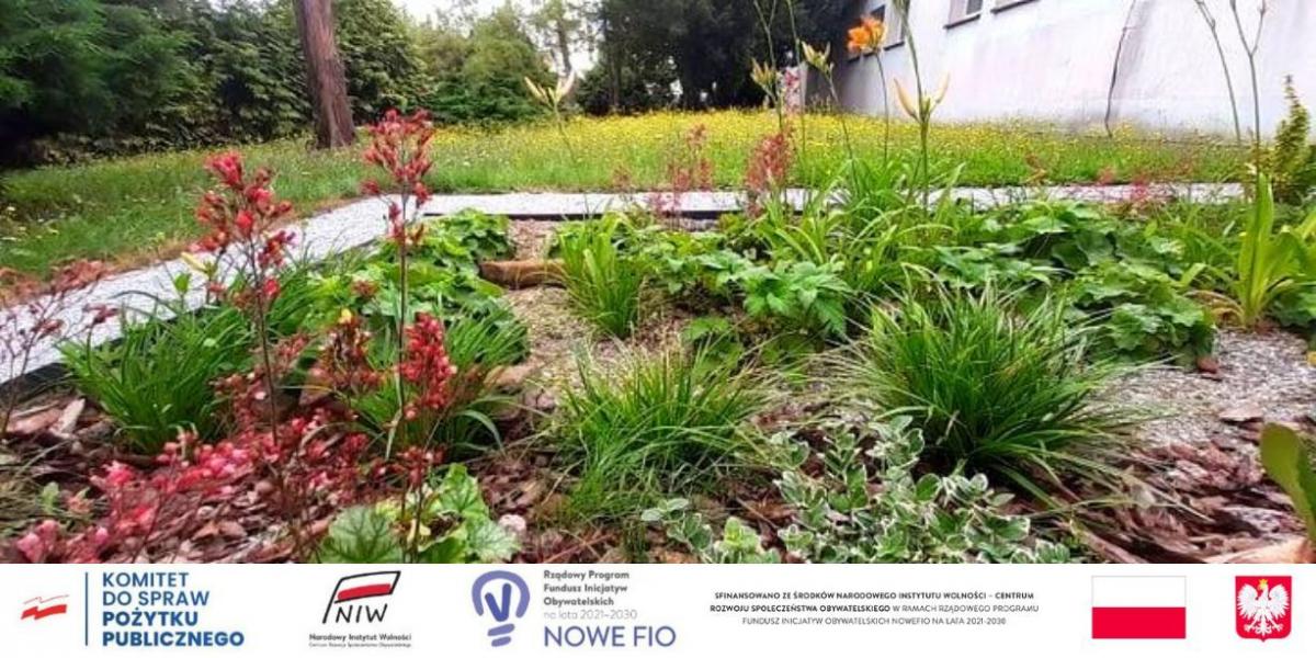 Szkoła z Klimatem. Budowa ogrodu deszczowego w SP 11 rozpocznie się na koniec maja