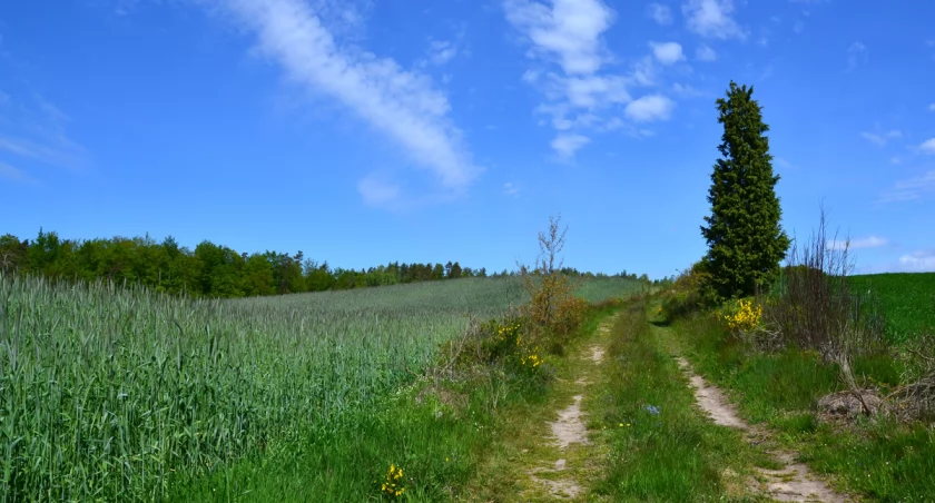 Jak aktywnie spędzić czas na Kaszubach?