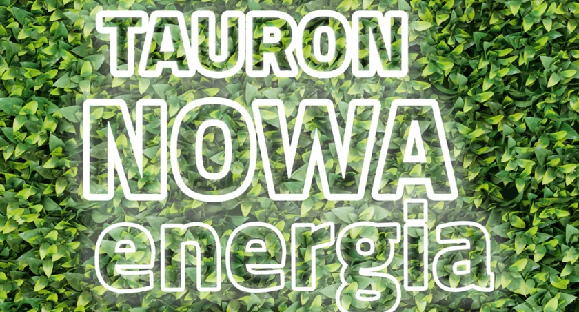 Stała cena energii od TAURONA