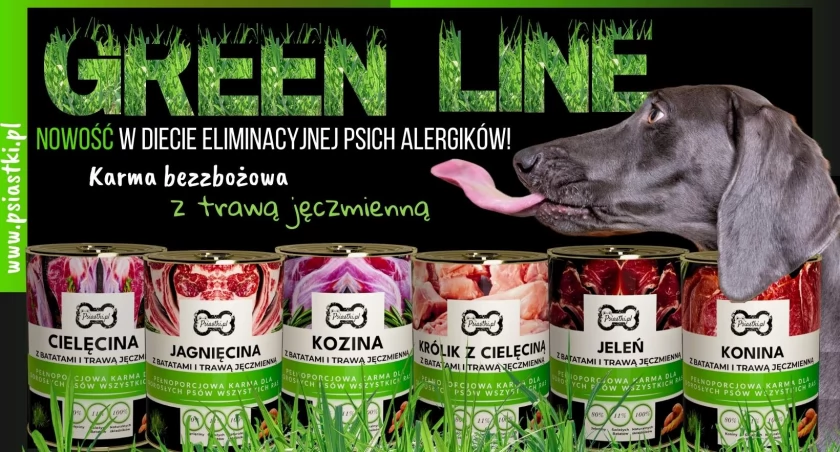 Z miłości do czworonogów: Jak Psiastki.pl rewolucjonizują karmy dla psów