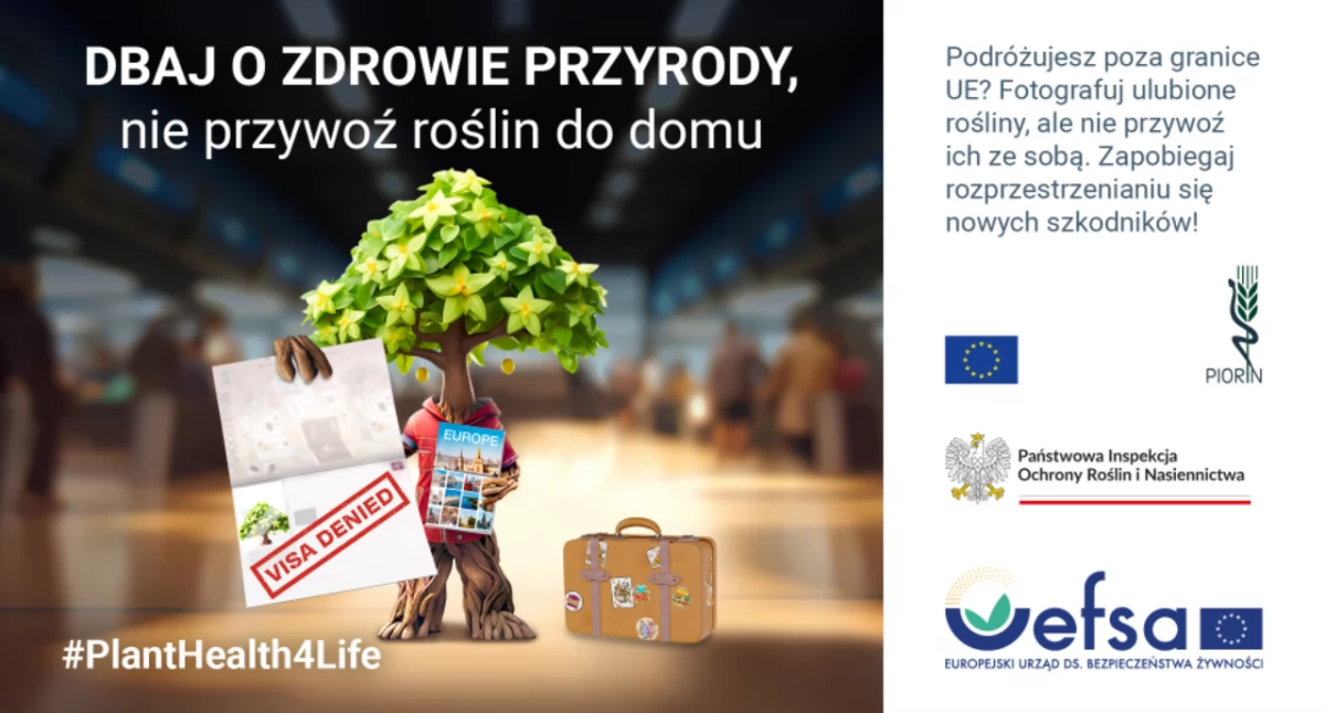 Startujemy po zdrowe rośliny! Nie przywoź pasażerów na gapę!