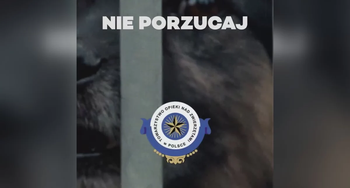 Towarzystwo Opieki nad Zwierzętami w Polsce prowadzi akcję pt. „Nie porzucaj, też mam uczucia”