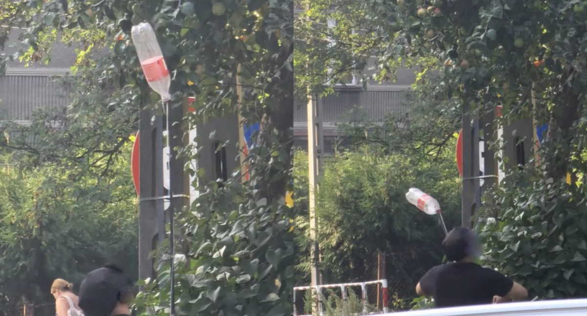Pomysłowy Dobromir. Cóż to za urządzenie do zbierania jabłek 