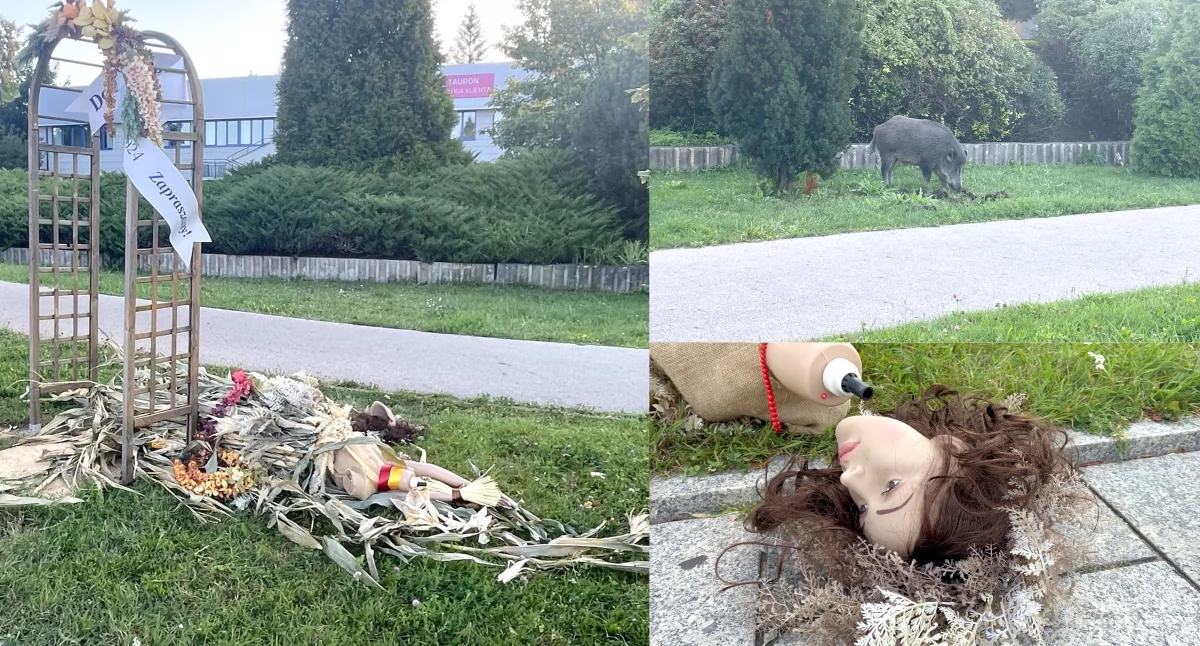 Pergola dożynkowa obok Urzędu Miasta zdemolowana
