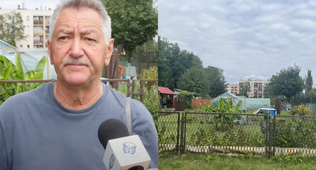 Dofinansowanie do ogródków działkowych w Jaworznie. Kto może się ubiegać?