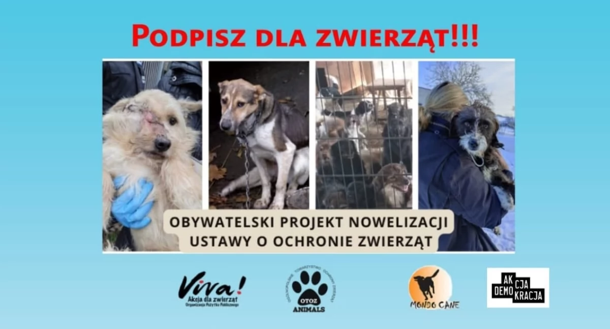 „Stop Łańcuchom” czyli petycja w trosce o zwierzaki
