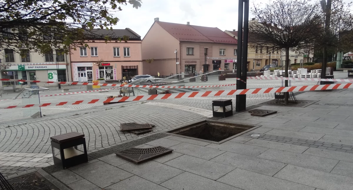 Z rynku znikają drzewa