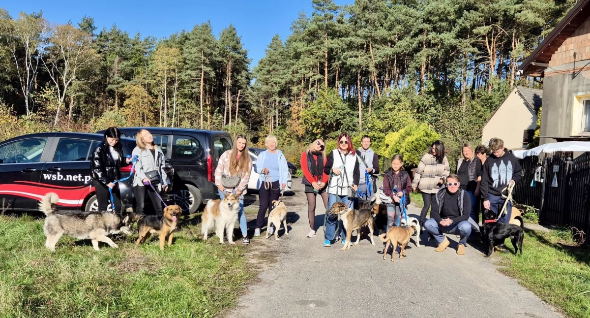 Spacer z psami do adopcji przynosi efekty. Kilka psów znalazło nowy dom