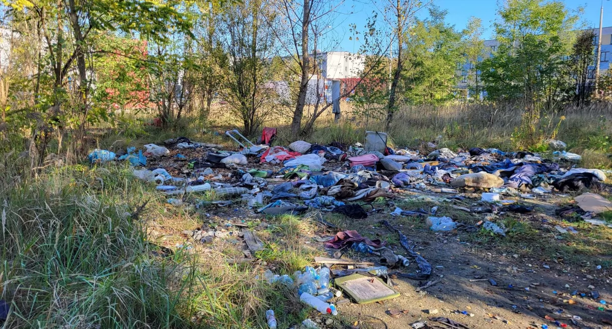 Śmietnisko w krzakach naprzeciw Urzędu Skarbowego