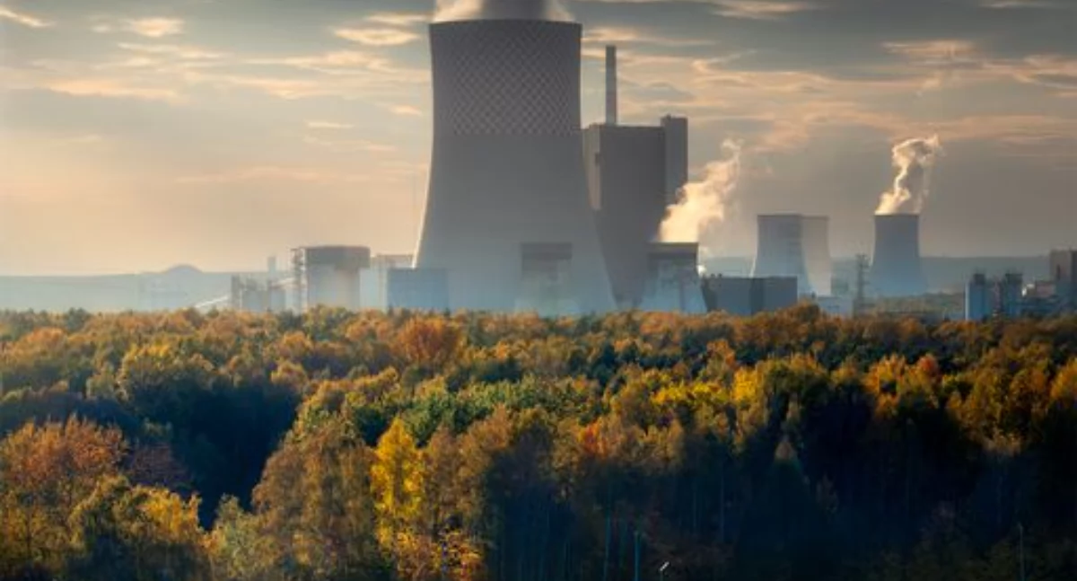 Złota jesień w obiektywie Trzeciego Planu