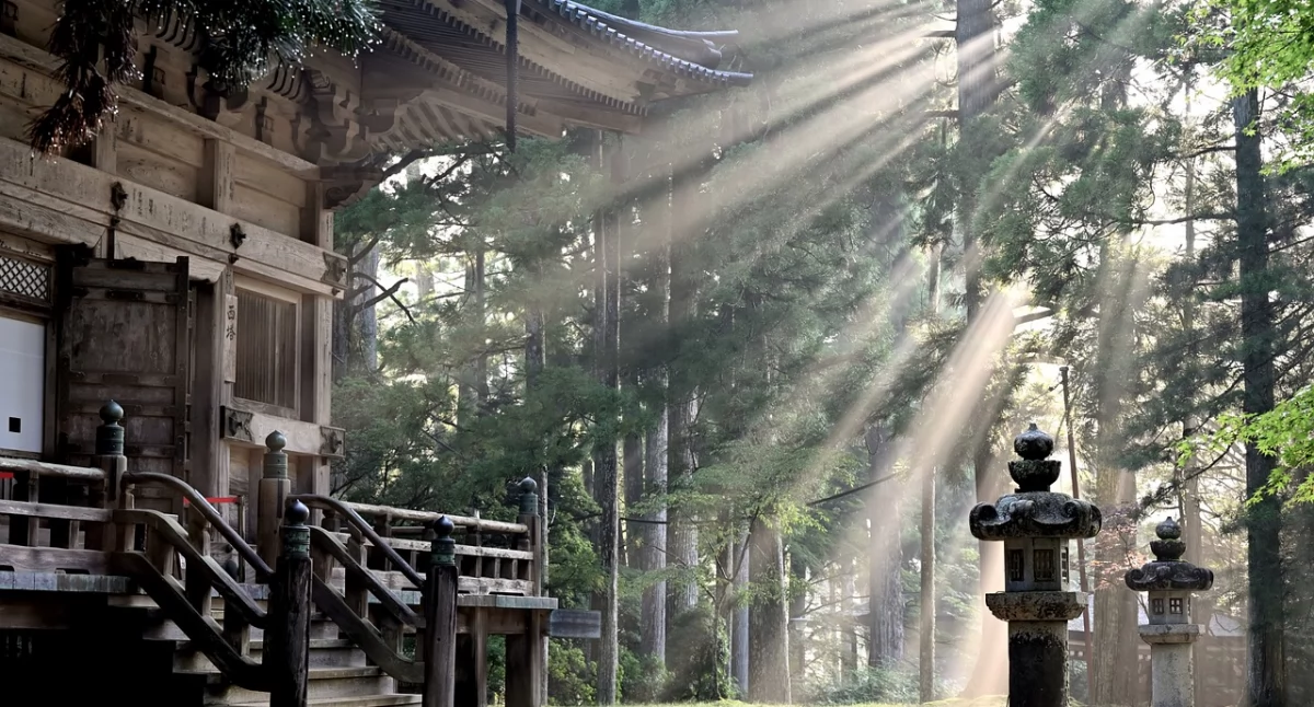 Wycieczka do Japonii - dlaczego warto jechać do kraju kwitnącej wiśni