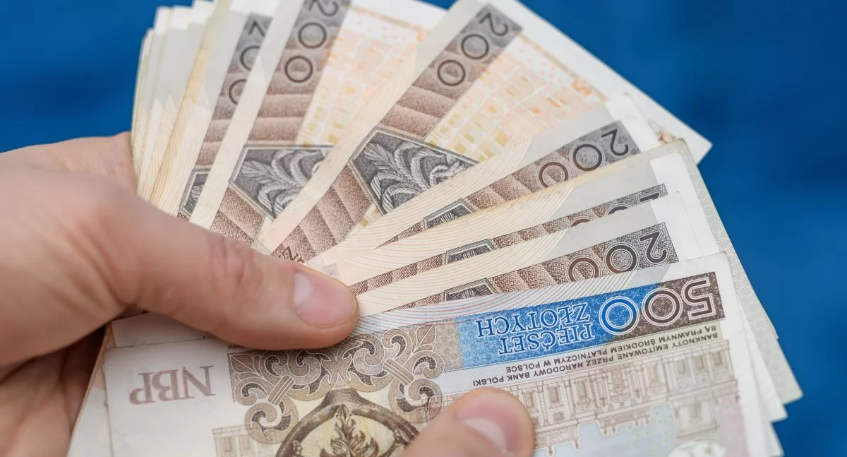 Pożyczka gotówkowa online: jak to działa i na co uważać?
