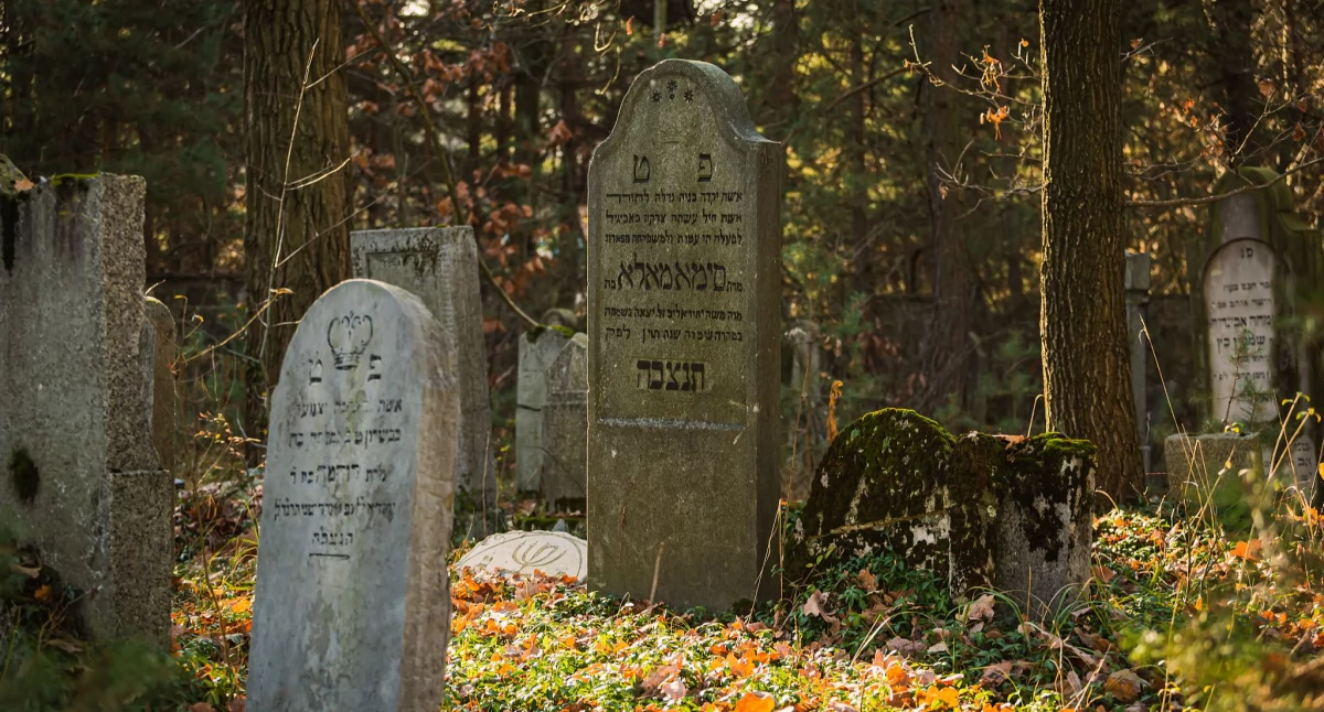 Cmentarz żydowski w Jaworznie