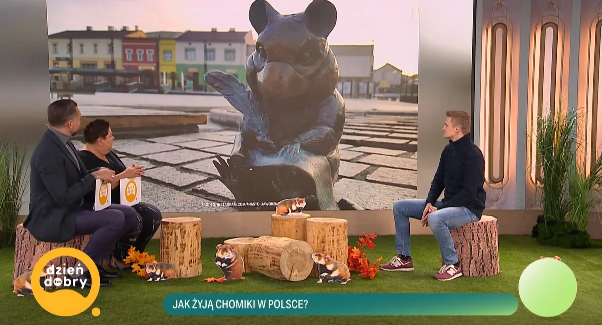 Chomiki z Jaworzna w Dzień Dobry TVN