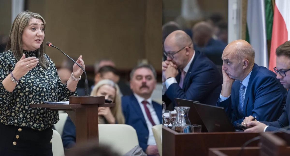 Kontrowersje wokół wycofania dofinansowania do żłobków