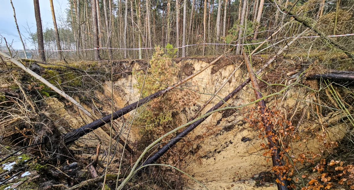 Zapadlisko w lesie na Podłężu